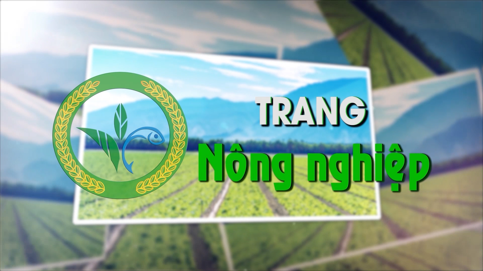 Trang nông nghiệp (21-5-2024)